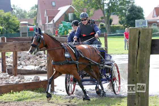Landesmeister Einspänner Pony: Timo Eitzmann. Foto: Stroscher