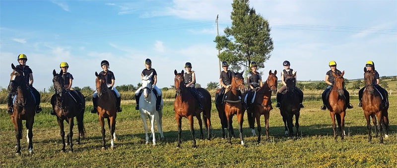 Die Vielseitigkeitsreiter des Teams Hannover bei der Goldenen Schärpe Pferde 2018. Foto: Meier