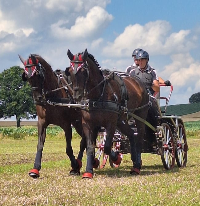 PSV Hannover - Mitglied Kader André Stiller 