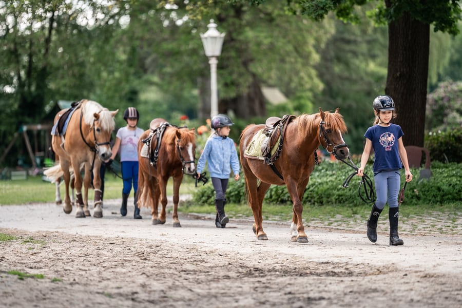 BBR Termine 2026 Foto C. Jennissen