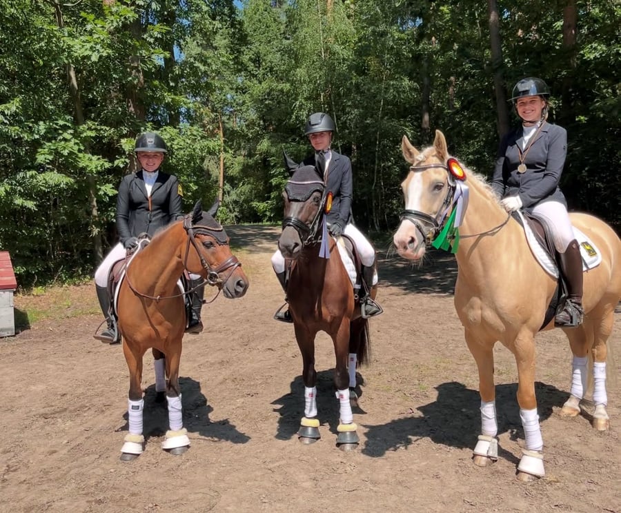 Bundesnachwuchschampionat Vielseitigkeit: Silber für Hannovers Pony-Team