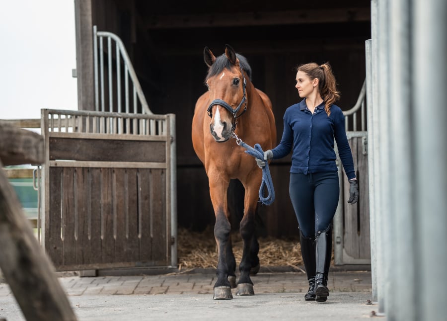Bundesberufsreitertag 2026 Foto Jennissen