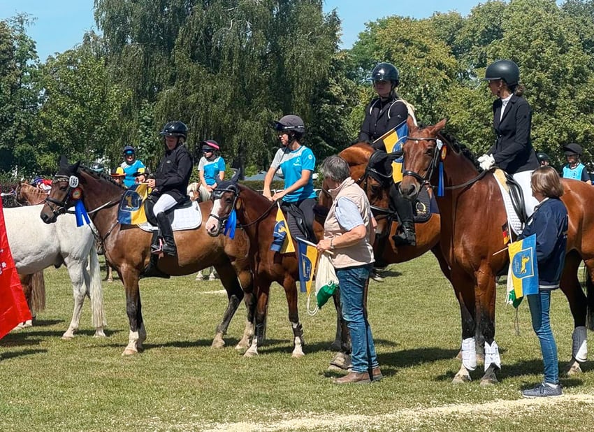 Bundespferdefestival 2026: Familiär und vielseitig
