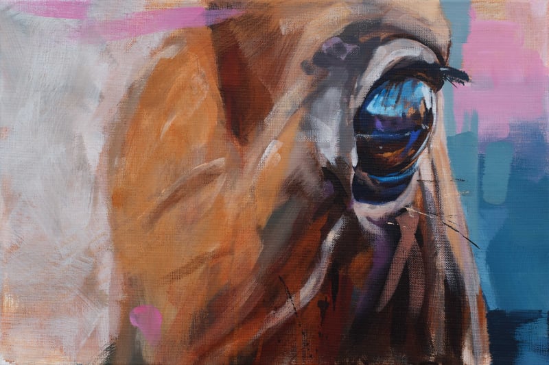 DPM Eye H. Hellner