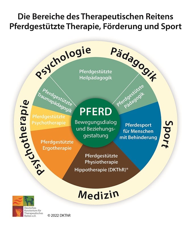 Diagramm Bereiche Therap. Reiten DKThR