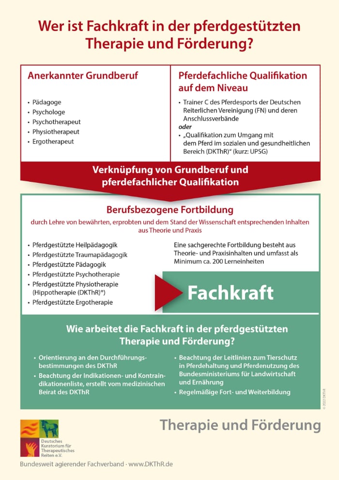Diagramm Fachkraft DKThR