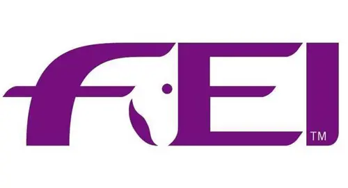 FEI-Logo