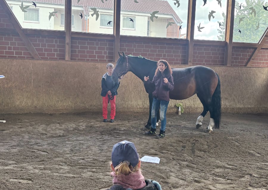 Fachtag KT Therapeutisches Reiten Röderhof