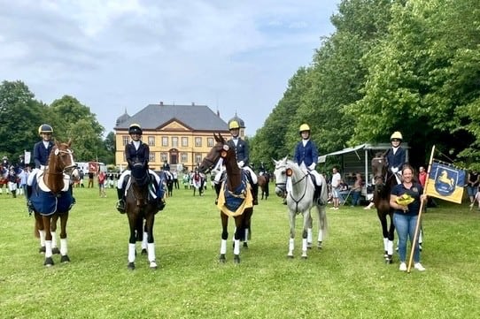 Goldene SchÀrpe Pferde 2025 Team Hannover III