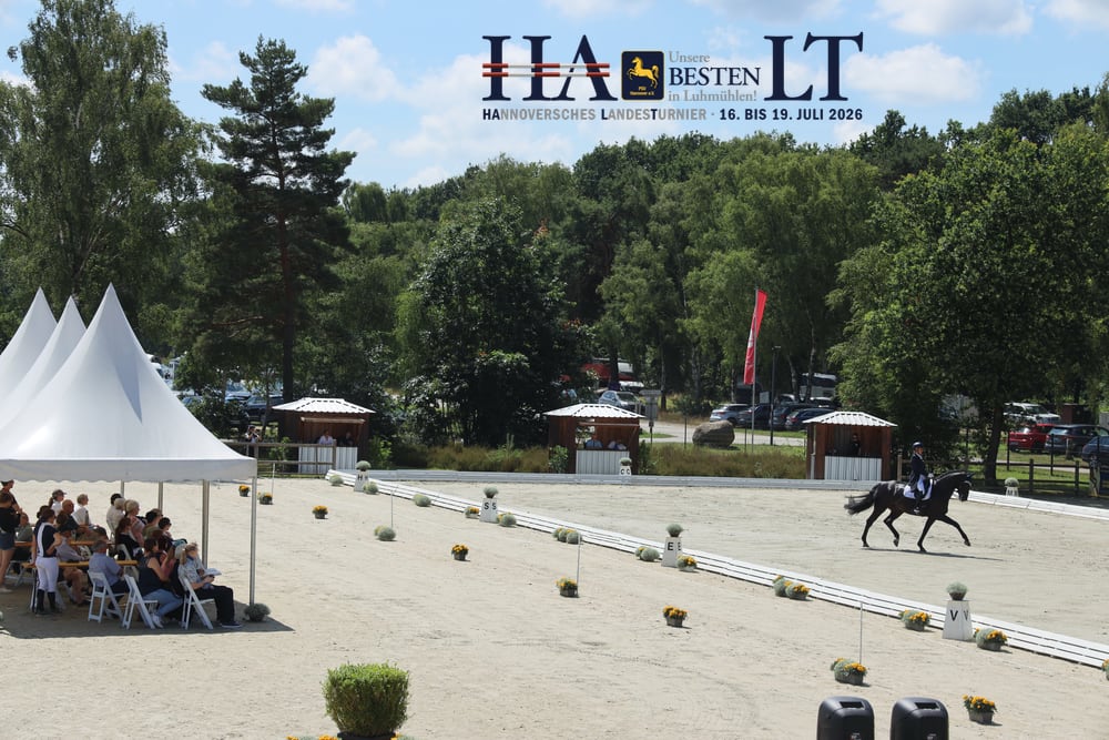 HA.LT Vorschau 2026 Dressur