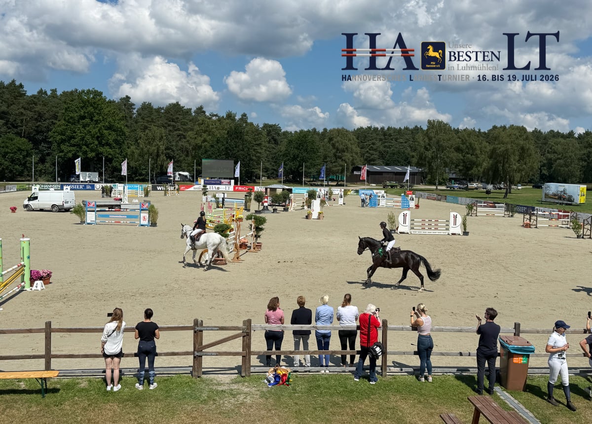 HA.LT Vorschau 2026 Springen