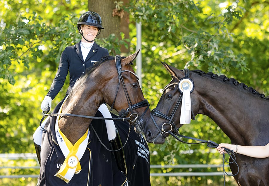 Hannoveraner Reitpferdechampionate 2026 Foto Hannoveraner Verband