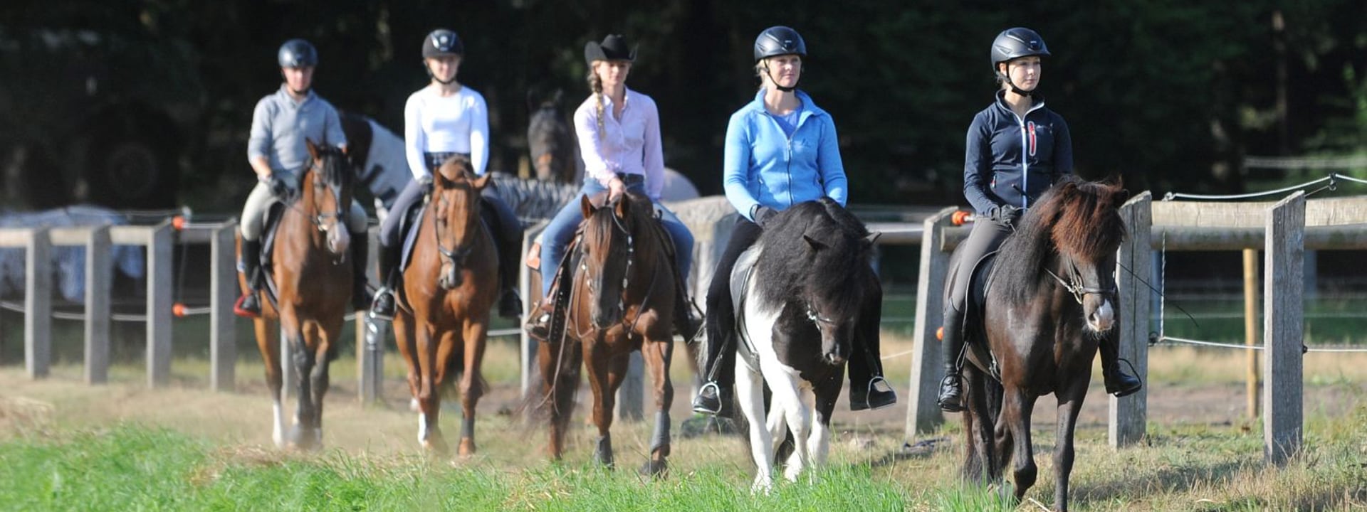 Header Einstieg in den Pferdesport FN-Archiv Lehmann