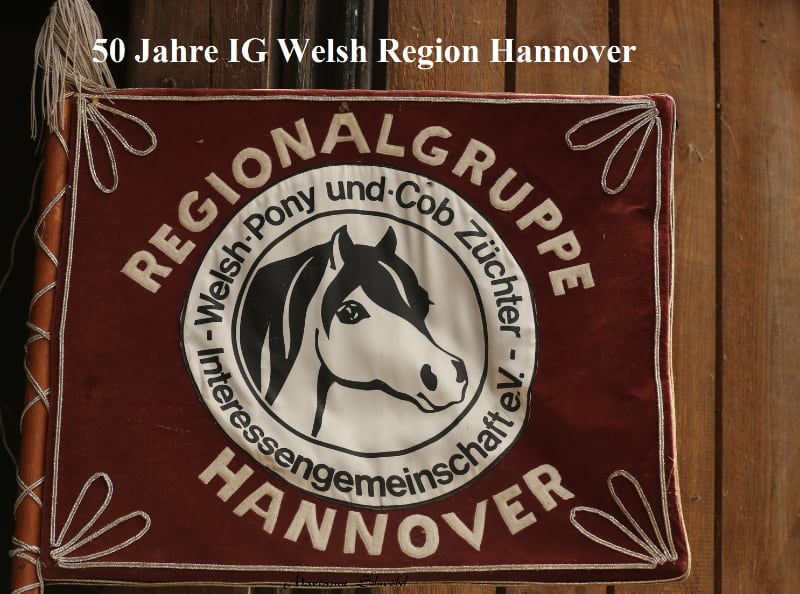 IG Welsh 50 Jahre