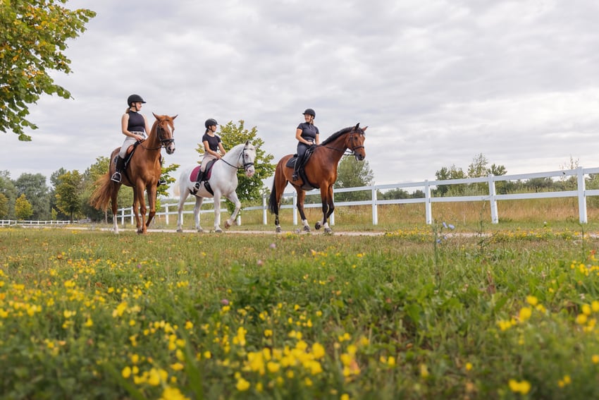 Kostenfreies Webinar für Reitvereine: „Brauchen wir noch Reitvereine – oder brauchen wir sie gerade jetzt?“