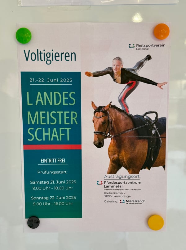 LM Voltigieren 2025 16 Foto Pantel