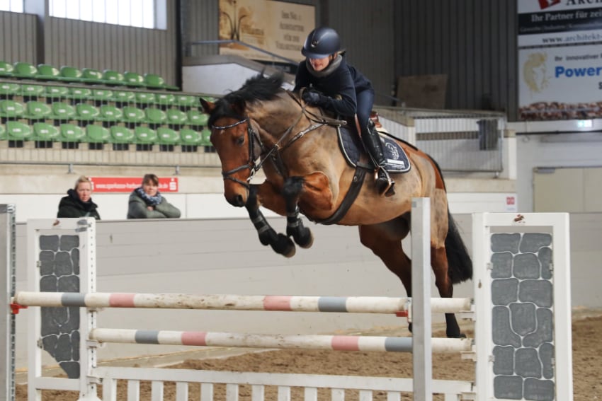 Landestalentsichtung Springen 2025 Bild 9 Foto: Pantel