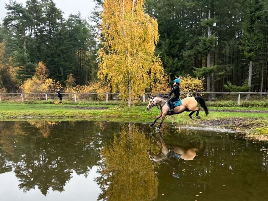 Landestalentsichtung VS 2025 Bild 3