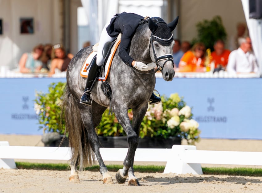 Mette Jensen mit Proud James. Foto: Lafrentz