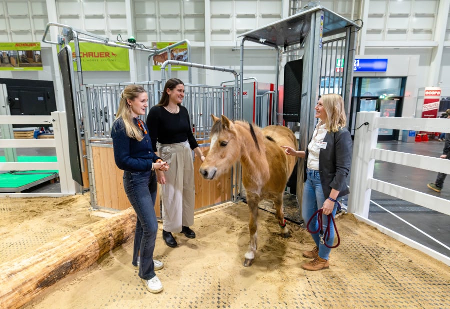 Passion Pferd 2025 Foto Deutsche Messe