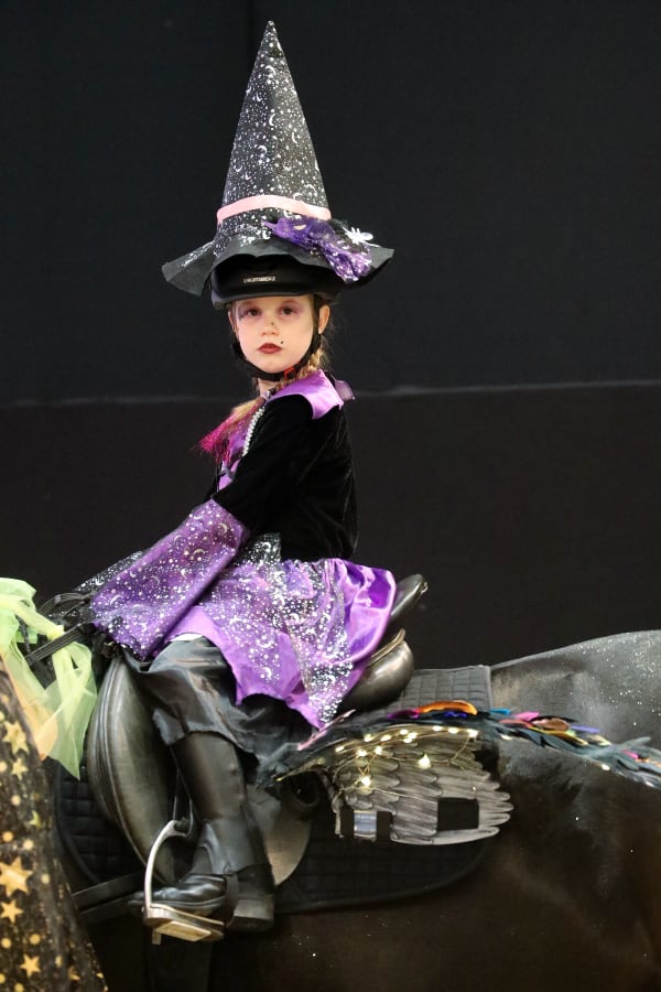 Passion Pferd Führzügelklasse 11 2025 Foto Pantel