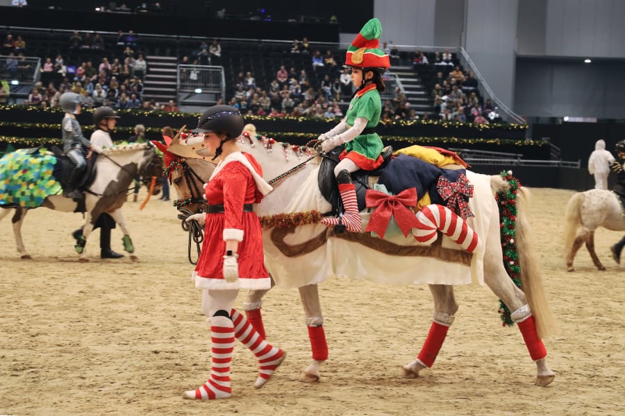 Passion Pferd Führzügelklasse 16 2025 Foto Pantel