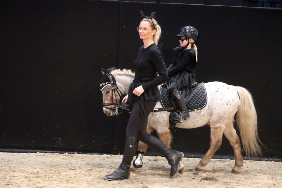 Passion Pferd Führzügelklasse 17 2025 Foto Pantel