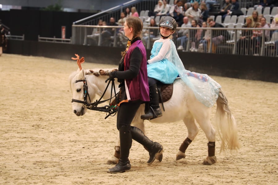 Passion Pferd Führzügelklasse 18 2025 Foto Pantel