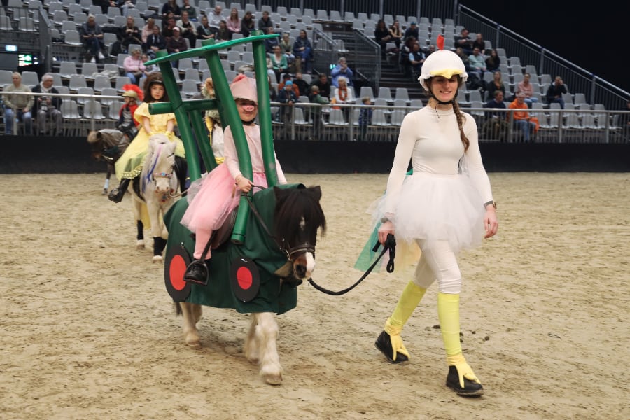 Passion Pferd Führzügelklasse 19 2025 Foto Pantel