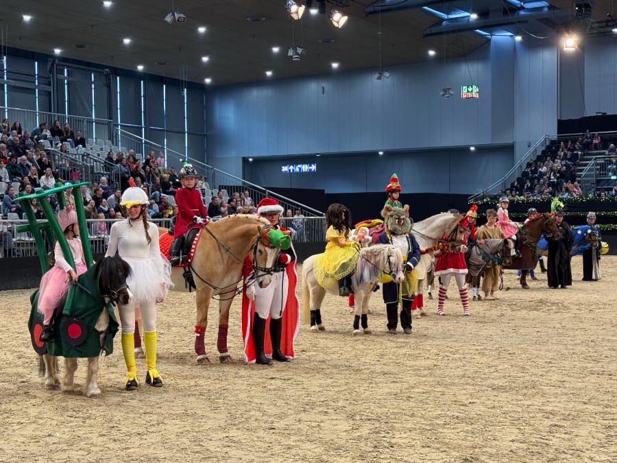 Passion Pferd Führzügelklasse 2 2025 Foto Pantel