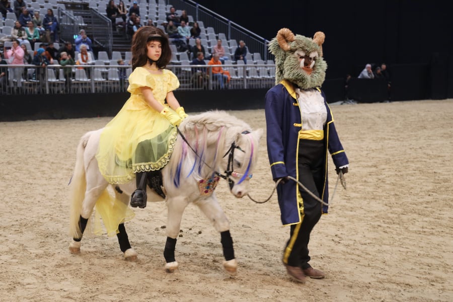 Passion Pferd Führzügelklasse 20 2025 Foto Pantel