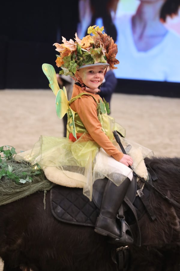 Passion Pferd Führzügelklasse 21 2025 Foto Pantel