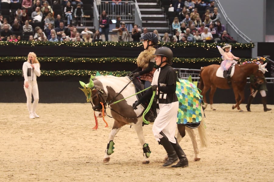 Passion Pferd Führzügelklasse 22 2025 Foto Pantel