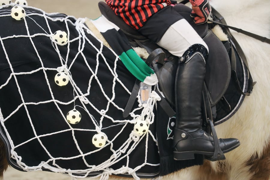 Passion Pferd Führzügelklasse 25 2025 Foto Pantel