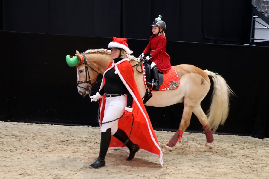 Passion Pferd Führzügelklasse 5 2025 Foto Pantel