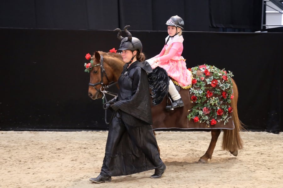 Passion Pferd Führzügelklasse 6 2025 Foto Pantel