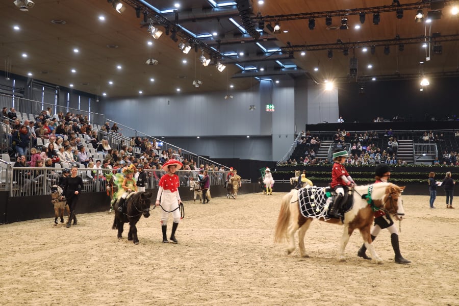 Passion Pferd Führzügelklasse 9 2025 Foto Pantel