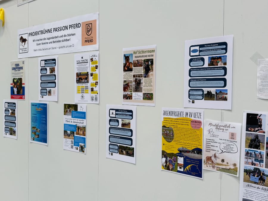 Passion Pferd Jugend-Stage 10 Foto Pantel