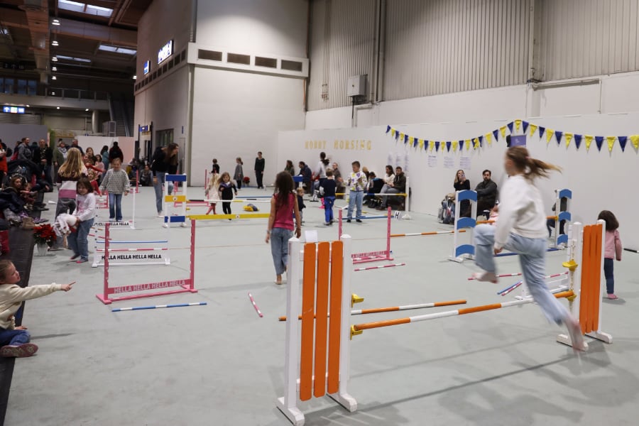 Passion Pferd Jugend-Stage 17 Foto Pantel