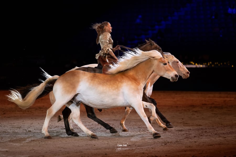 Show, Glanz und Emotionen: Das Eventprogramm der PASSION PFERD
