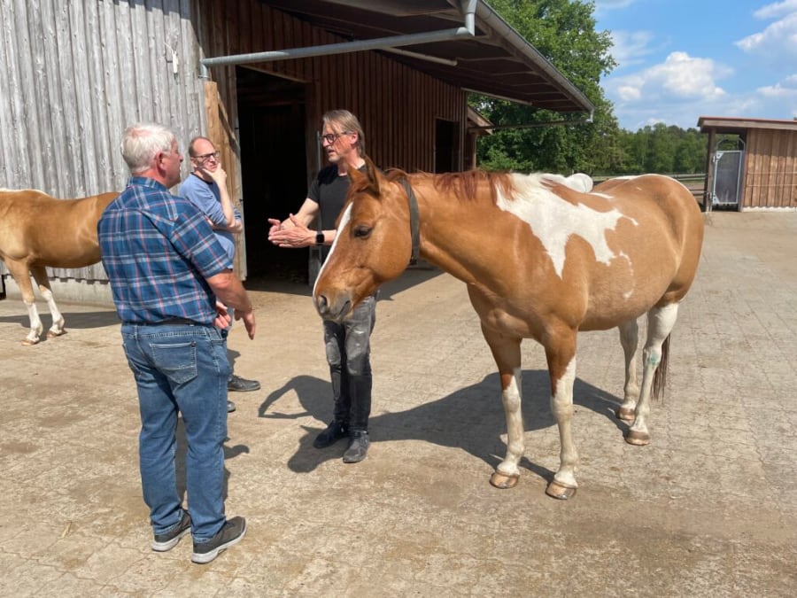 Fokus Pferd: Tierwohl wird auf vielen Wegen erreicht