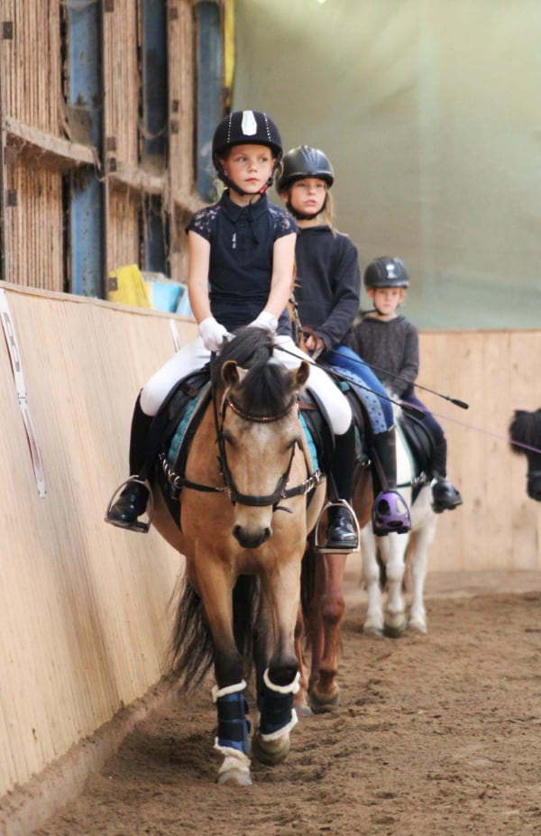Ponyclub Naulitz 1
