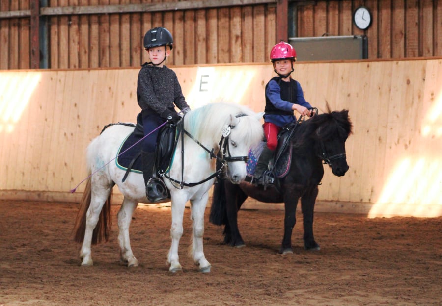 Ponyclub Naulitz 3