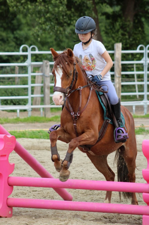 Ponyclub Naulitz 4