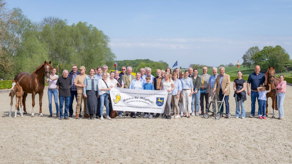 Ponyförderverein MV 2026