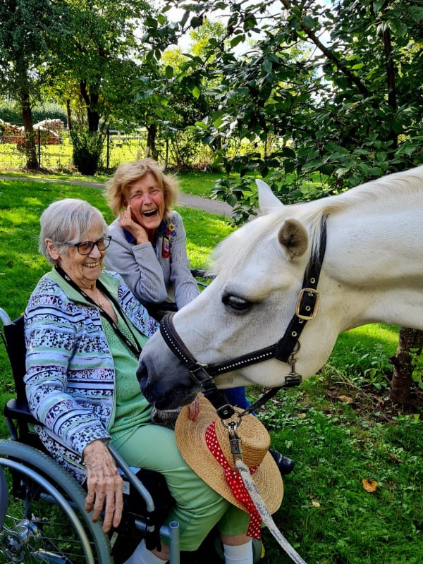 Vielfalt Pferd Nachbericht Foto privat