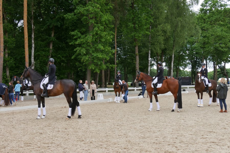 Vorbereitungsplatz_Richterkennzeichnung Foto FN-Archiv