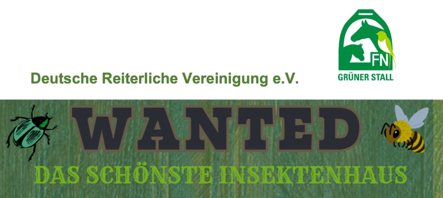 Wettbewerb Grüner Stall 2025: Wer hat das schönste Insektenhotel?